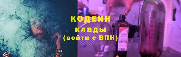 амф Вяземский