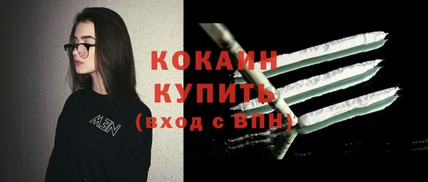 амф Вяземский