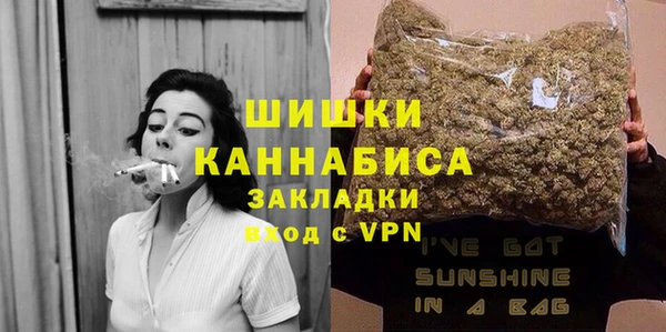 амф Вяземский