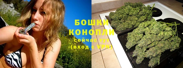 амф Вяземский
