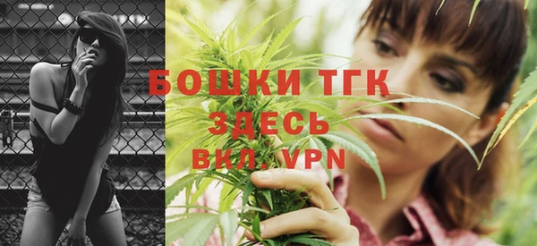 амф Вяземский