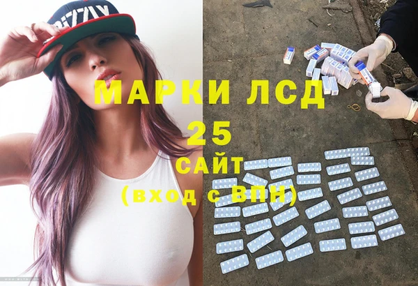 амф Вяземский