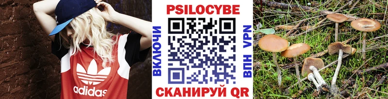наркота  мега ONION  Псилоцибиновые грибы мухоморы  Иланский 