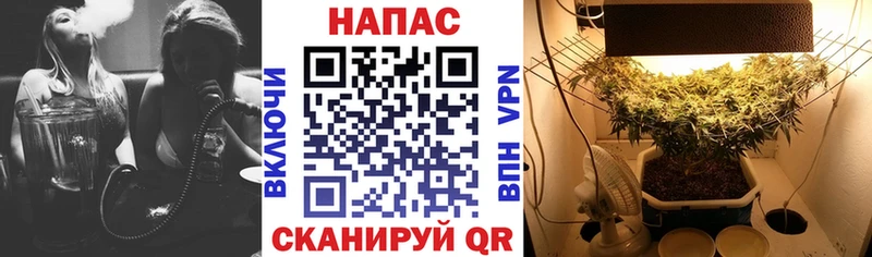 ОМГ ОМГ вход Иланский Марихуана план